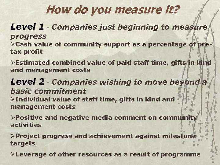 How do you measure it? Level 1 - Companies just beginning to measure progress