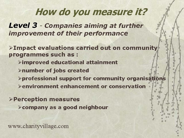 How do you measure it? Level 3 - Companies aiming at further improvement of