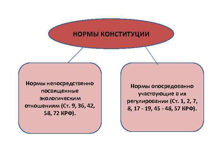 НОРМЫ КОНСТИТУЦИИ Нормы непосредственно посвященные экологическим отношениям (Ст. 9, 36, 42, 58, 72 КРФ).