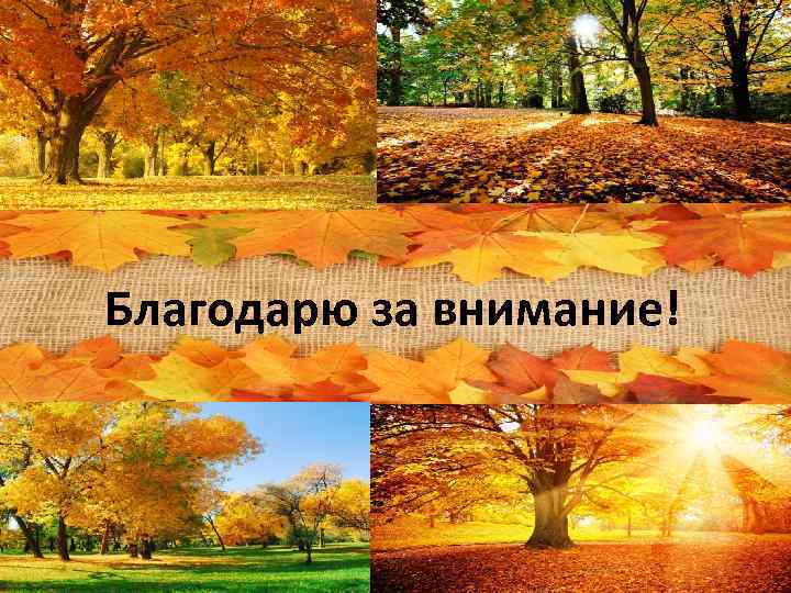 Благодарю за внимание! 