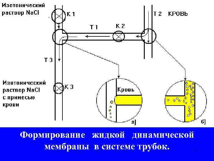 Формирование жидкой динамической мембраны в системе трубок. 7 