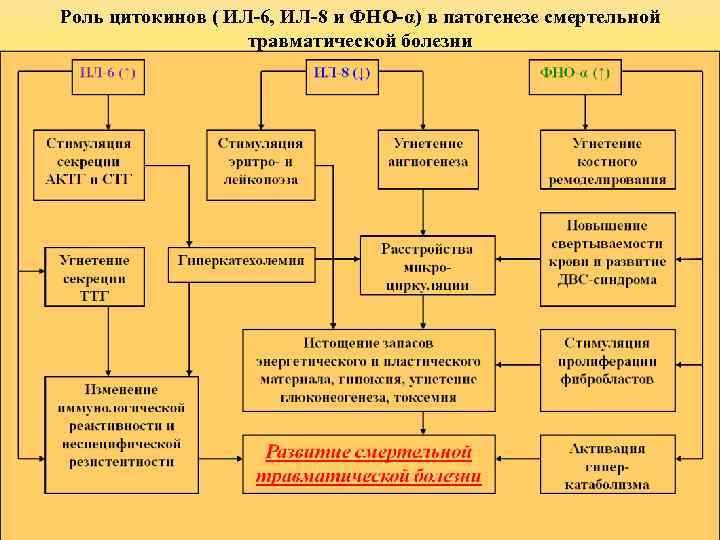 Роль цитокинов ( ИЛ-6, ИЛ-8 и ФНО-α) в патогенезе смертельной травматической болезни 8 