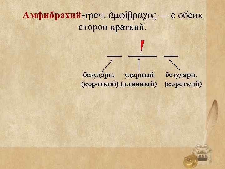 Амфибрахий-греч. ἀμφίβραχυς — с обеих сторон краткий. безударный безударн. (короткий) (длинный) (короткий) 