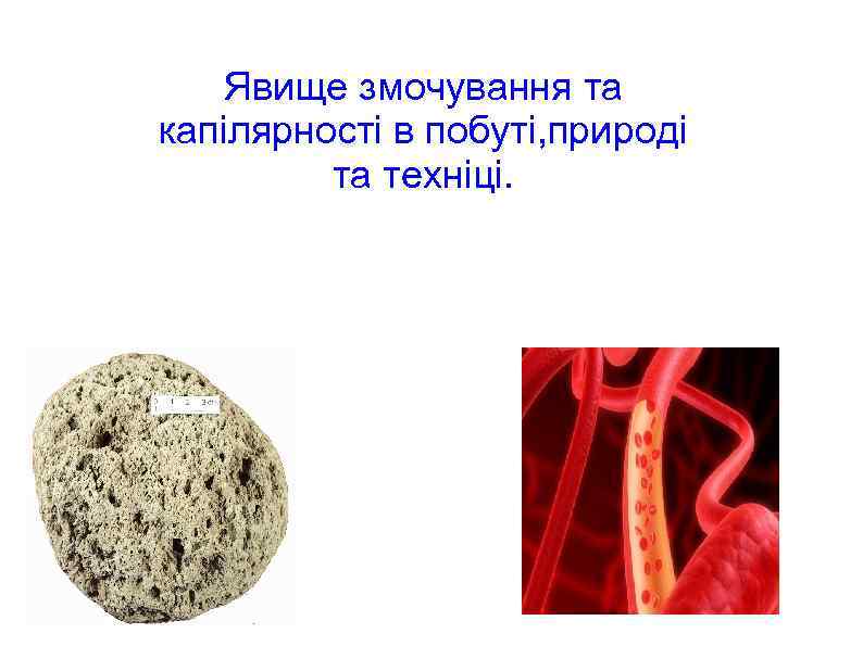 Явище змочування та капілярності в побуті, природі та техніці. . 