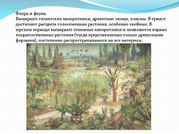 Флора и фауна. Вымирают гигантские папоротники, древесные хвощи, плауны. В триасе достигают расцвета голосеменные