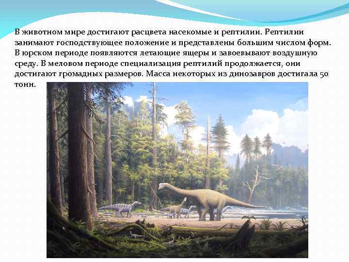 В животном мире достигают расцвета насекомые и рептилии. Рептилии занимают господствующее положение и представлены