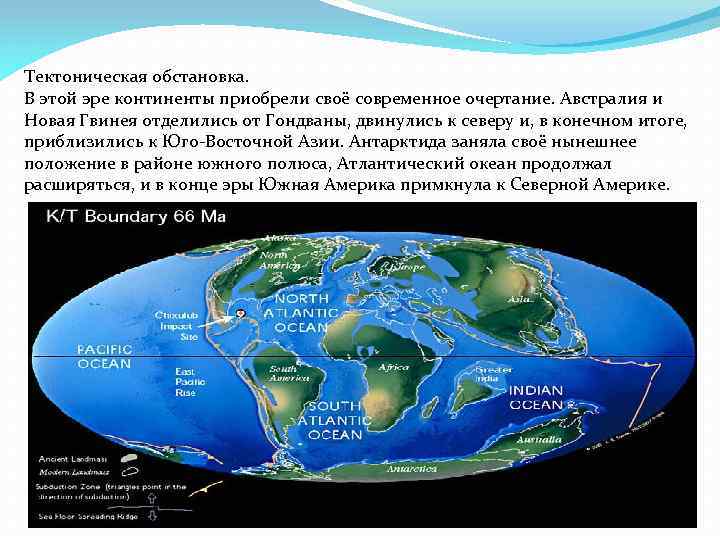 Тектоническая обстановка. В этой эре континенты приобрели своё современное очертание. Австралия и Новая Гвинея