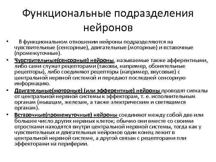 Функциональные подразделения нейронов • В функциональном отношении нейроны подразделяются на чувствительные (сенсорные), двигательные (моторные)