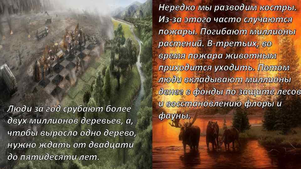 Люди за год срубают более двух миллионов деревьев, а, чтобы выросло одно дерево, нужно