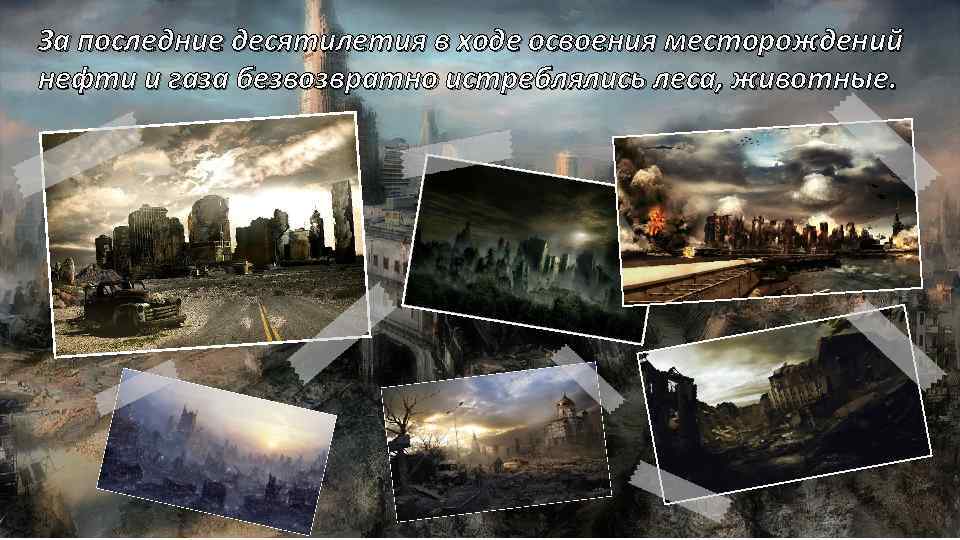 За последние десятилетия в ходе освоения месторождений нефти и газа безвозвратно истреблялись леса, животные.