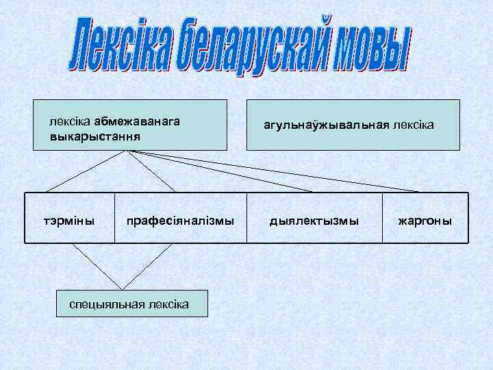 лексіка абмежаванага выкарыстання тэрміны прафесіяналізмы спецыяльная лексіка агульнаўжывальная лексіка дыялектызмы жаргоны 