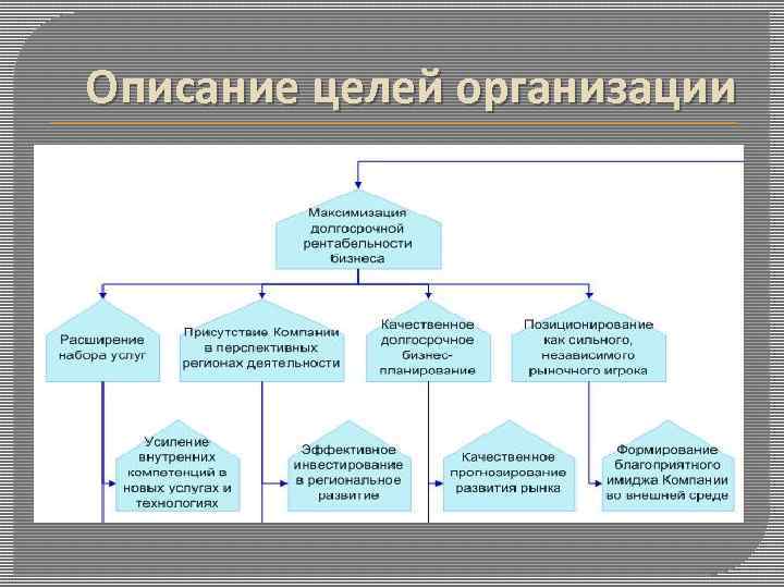 Описание целей организации 