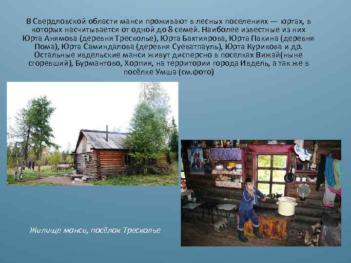 В Свердловской области манси проживают в лесных поселениях — юртах, в которых насчитывается от