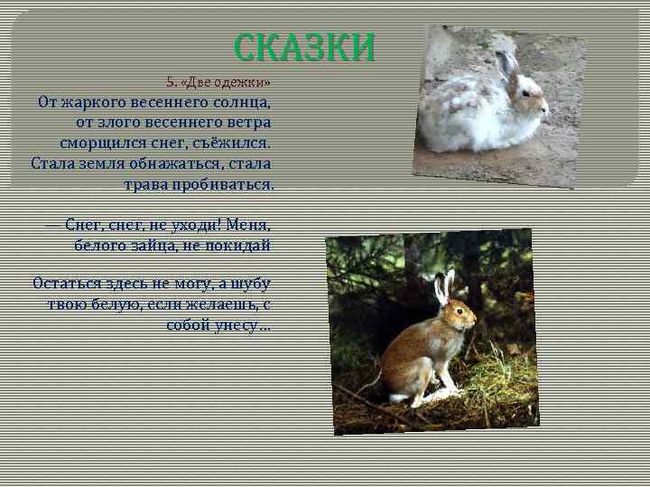 СКАЗКИ 5. «Две одежки» От жаркого весеннего солнца, от злого весеннего ветра сморщился снег,