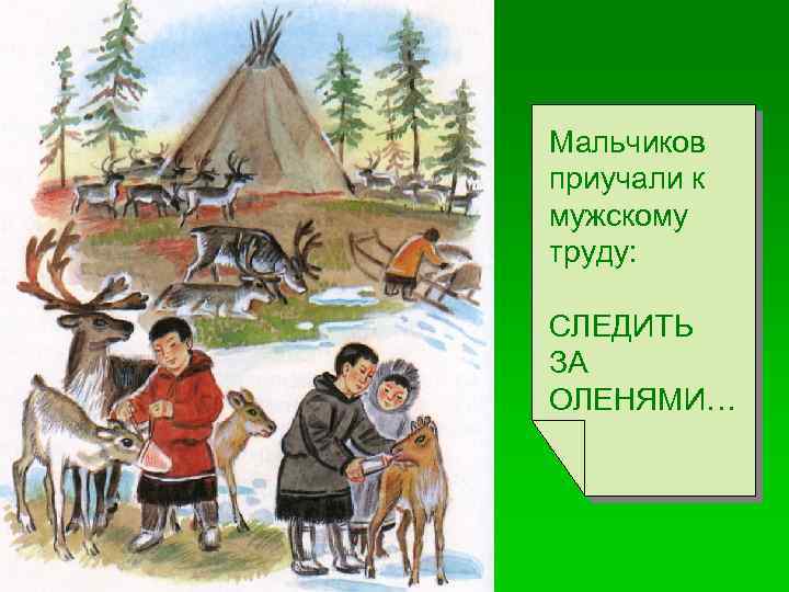 Мальчиков приучали к мужскому труду: СЛЕДИТЬ ЗА ОЛЕНЯМИ… 