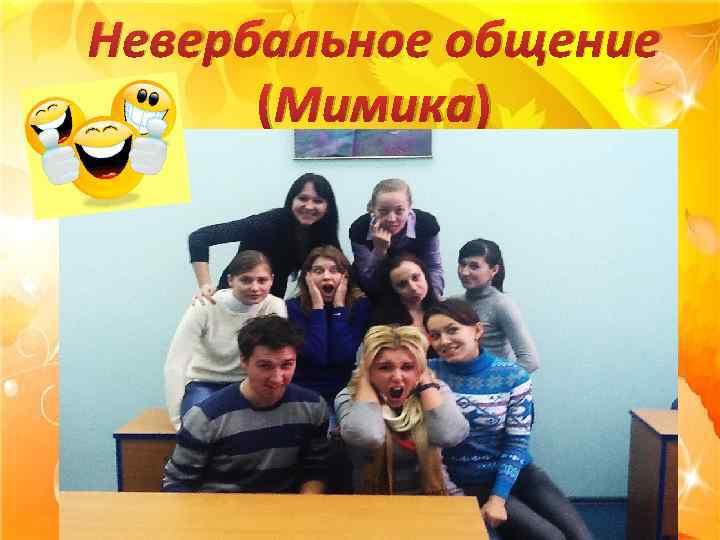 Невербальное общение (Мимика) 