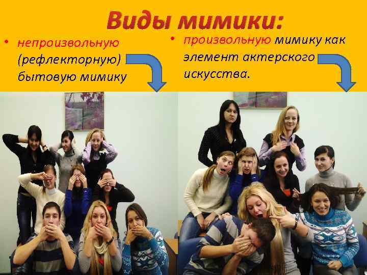 Виды мимики: • непроизвольную (рефлекторную) бытовую мимику • произвольную мимику как элемент актерского искусства.