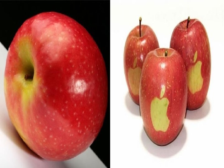 Behaviorism • Behaviorist attempted to define the meaning of a language from as “the