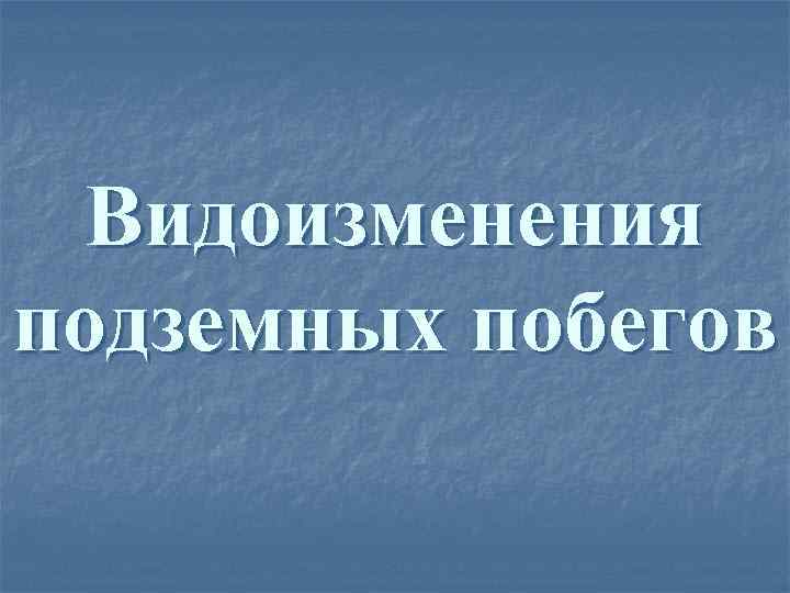 Видоизменения подземных побегов 