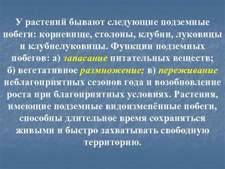 У растений бывают следующие подземные побеги: корневище, столоны, клубни, луковицы и клубнелуковицы. Функции подземных