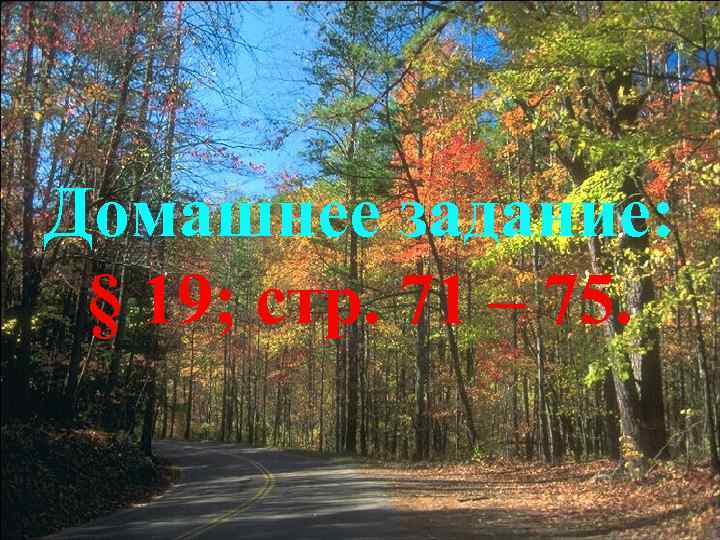 Домашнее задание: § 19; стр. 71 – 75. 