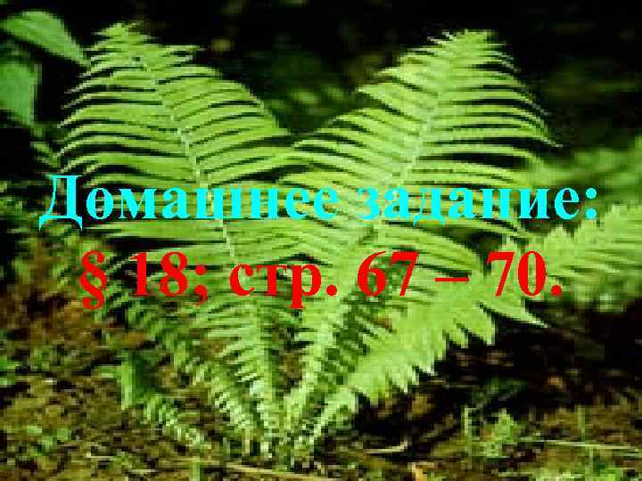 Домашнее задание: § 18; стр. 67 – 70. 