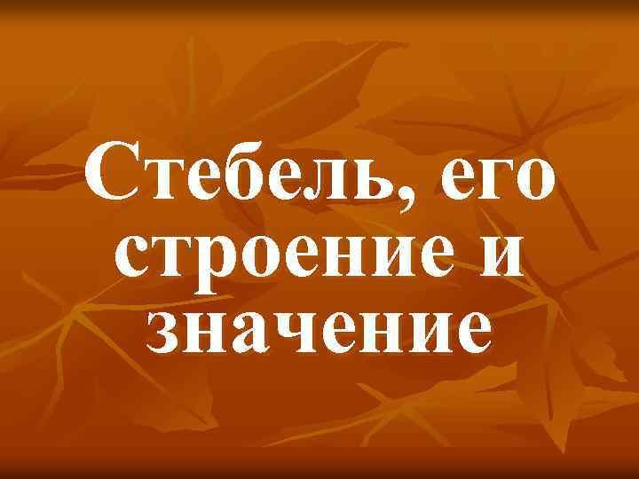 Стебель, его строение и значение 