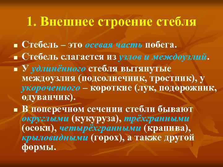 1. Внешнее строение стебля n n Стебель – это осевая часть побега. Стебель слагается