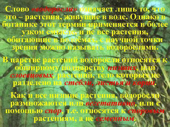 Слово «водоросли» означает лишь то, что это – растения, живущие в воде. Однако в