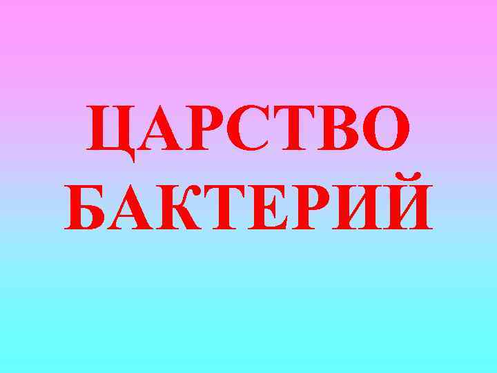 ЦАРСТВО БАКТЕРИЙ 