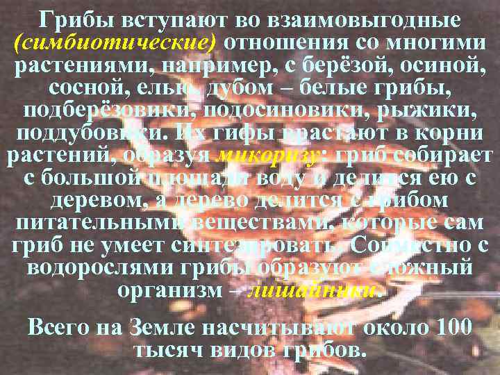 Грибы вступают во взаимовыгодные (симбиотические) отношения со многими растениями, например, с берёзой, осиной, сосной,