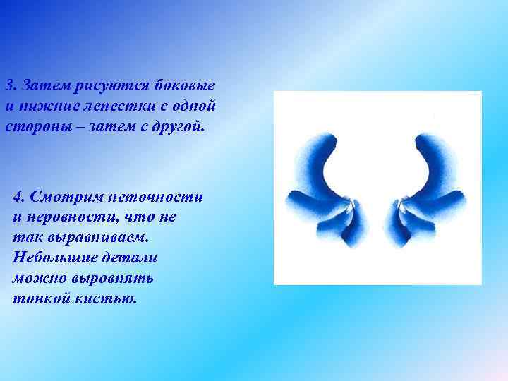 3. Затем рисуются боковые и нижние лепестки с одной стороны – затем с другой.