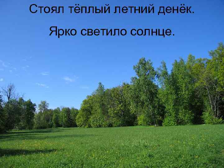 Стоял тёплый летний денёк. Ярко светило солнце. 