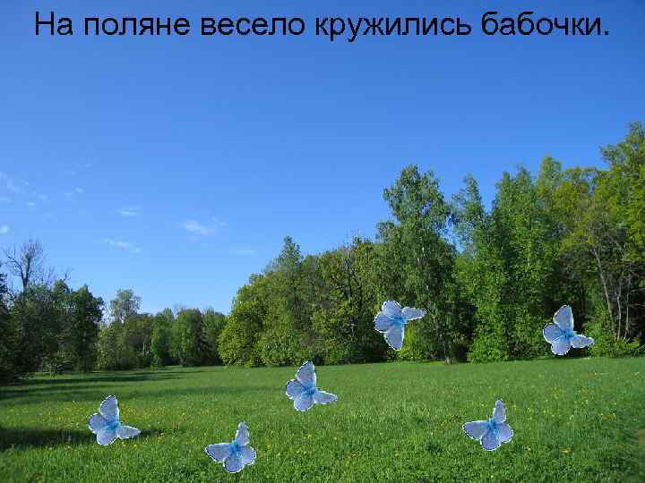 На поляне весело кружились бабочки. 