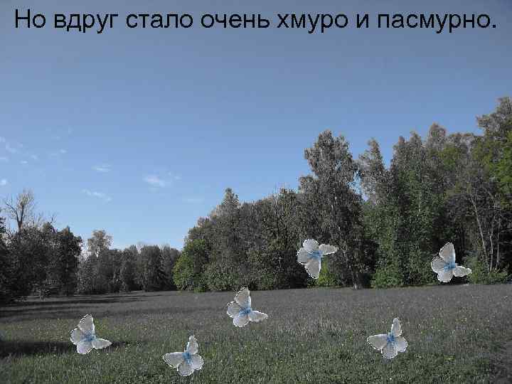 Но вдруг стало очень хмуро и пасмурно. 