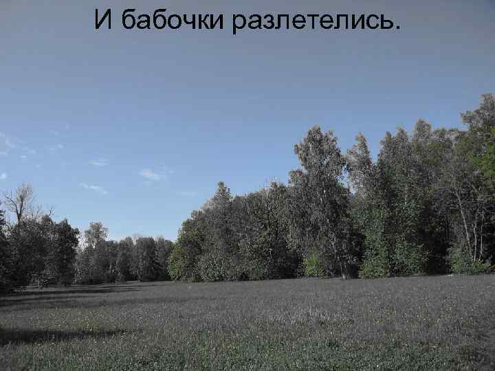 И бабочки разлетелись. 