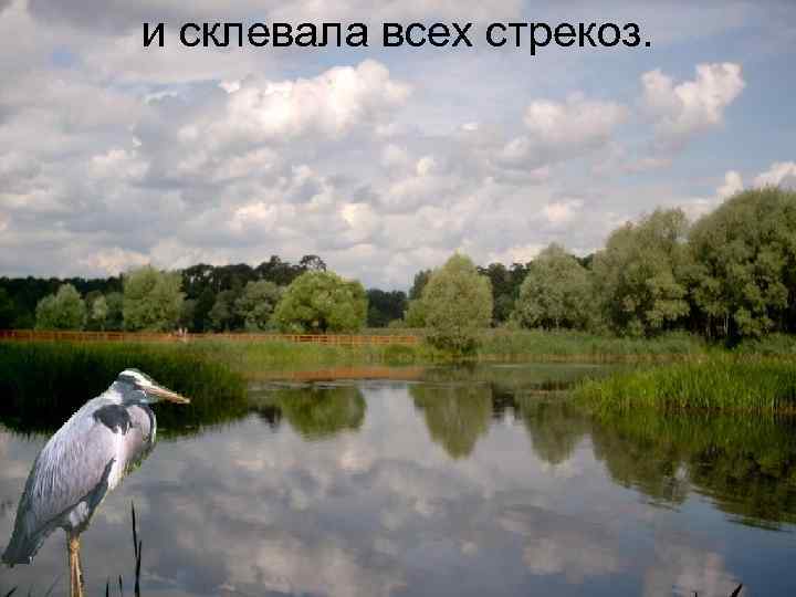 и склевала всех стрекоз. 