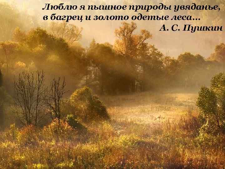 Люблю я пышное природы увяданье, в багрец и золото одетые леса. . . А.