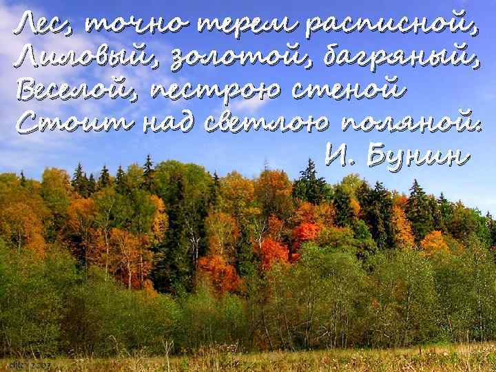 Лес, точно терем расписной, Лиловый, золотой, багряный, Веселой, пестрою стеной Стоит над светлою поляной.