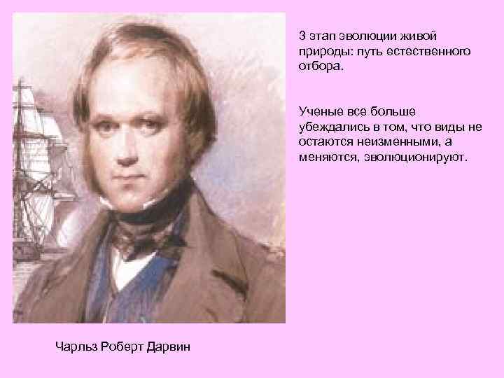 3 этап эволюции живой природы: путь естественного отбора. Ученые все больше убеждались в том,