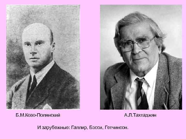 Б. М. Козо-Полянский А. Л. Тахтаджян И зарубежные: Галлир, Бэсси, Гетчинсон. 