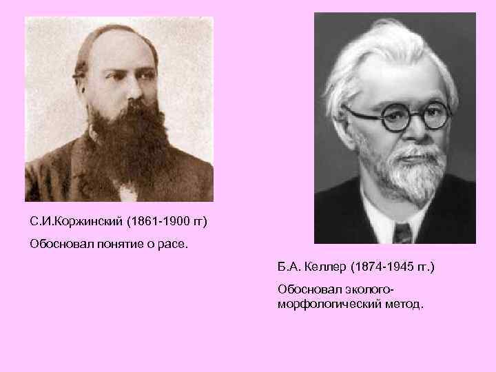 С. И. Коржинский (1861 -1900 гг) Обосновал понятие о расе. Б. А. Келлер (1874