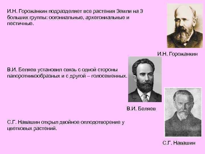 И. Н. Горожанкин подразделяет все растения Земли на 3 больших группы: оогониальные, архегониальные и