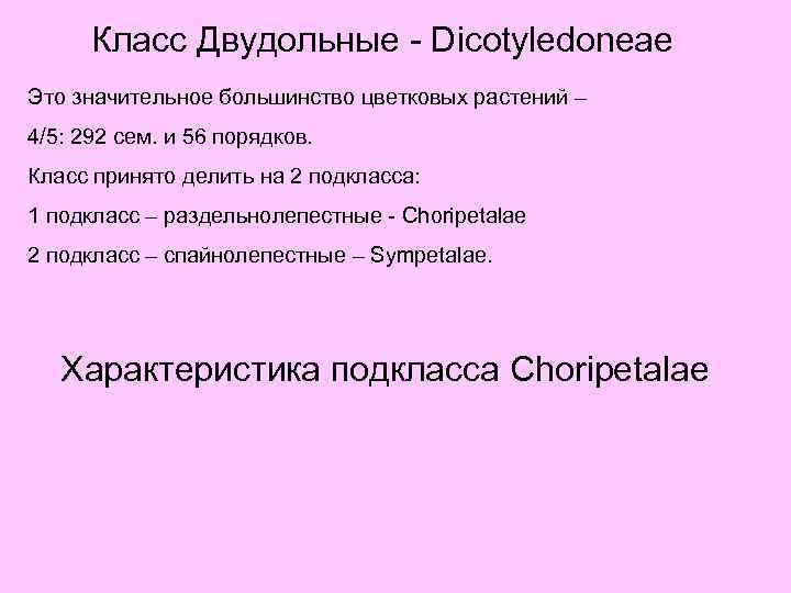 Класс Двудольные - Dicotyledoneae Это значительное большинство цветковых растений – 4/5: 292 сем. и