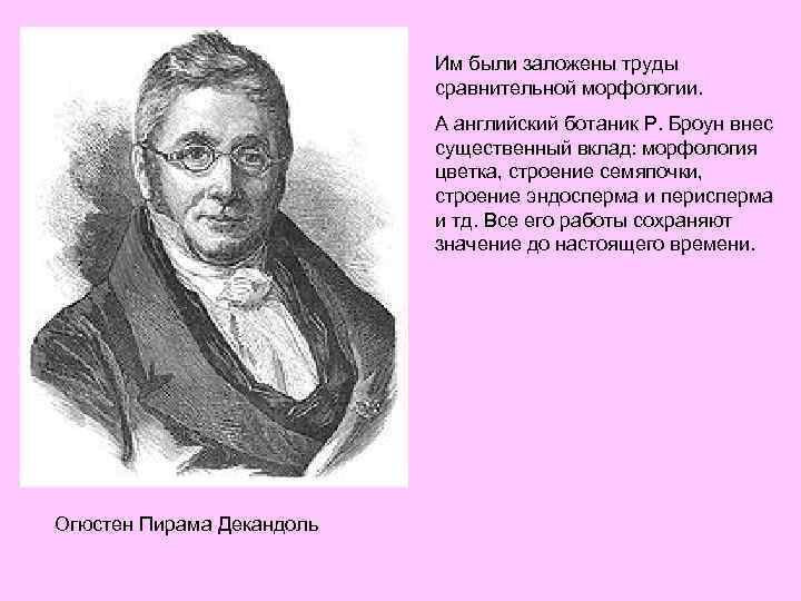 Им были заложены труды сравнительной морфологии. А английский ботаник Р. Броун внес существенный вклад: