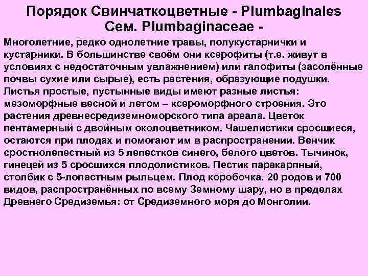 Порядок Свинчаткоцветные - Plumbaginales Сем. Plumbaginaceae Многолетние, редко однолетние травы, полукустарнички и кустарники. В