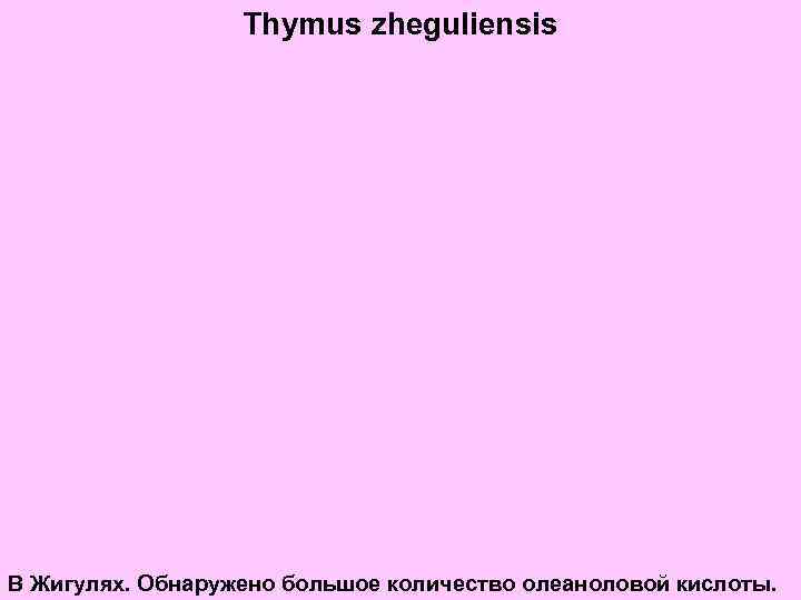 Thymus zheguliensis В Жигулях. Обнаружено большое количество олеаноловой кислоты. 