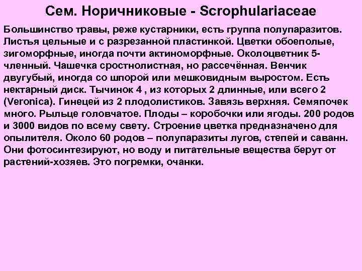 Сем. Норичниковые - Scrophulariaceae Большинство травы, реже кустарники, есть группа полупаразитов. Листья цельные и