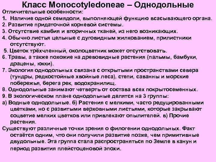 Класс Monocotyledoneae – Однодольные Отличительные особенности: 1. Наличие одной семядоли, выполняющей функцию всасывающего органа.