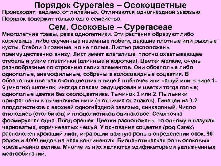 Порядок Cyperales – Осокоцветные Происходят, видимо, от лилейных. Отличаются одногнёздной завязью. Порядок содержит только